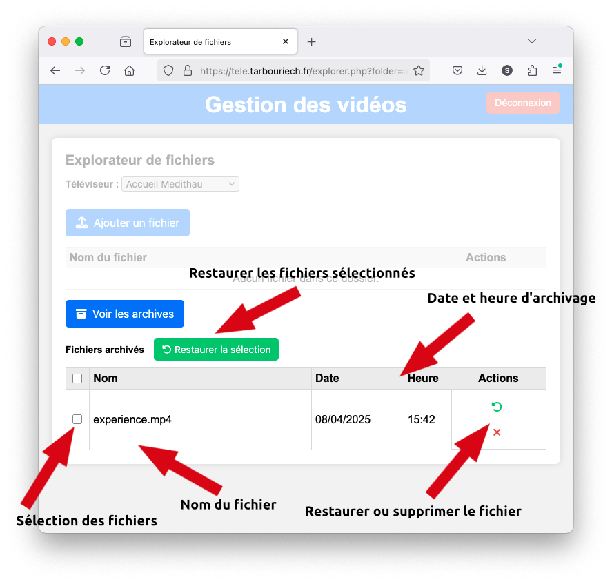 interface archives.png